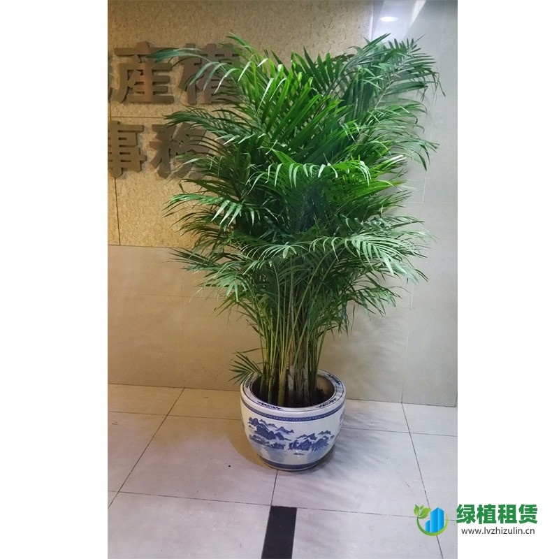 未标題-2.jpg