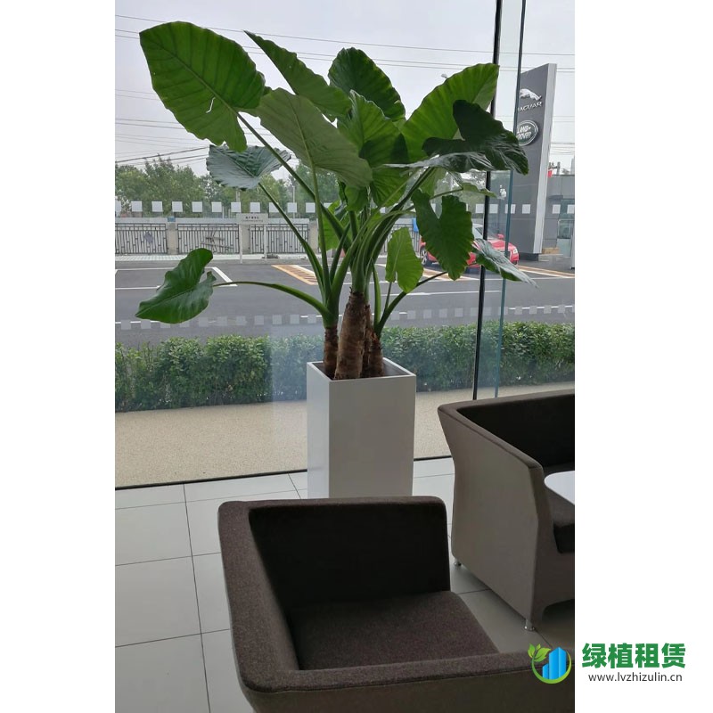 未标題-1.jpg